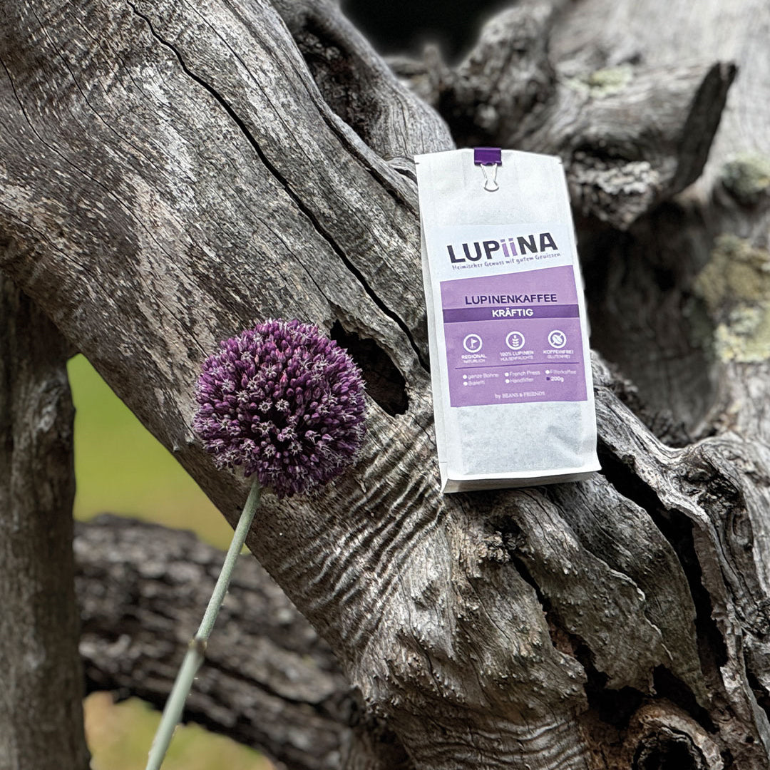 „Inmitten einer Umgebung mit alten Olivenbäumen und wahrscheinlich einem Allium Summer in passendem Lila-Ton präsentieren wir den Lupinenkaffee kräftig – eine harmonische Verbindung von Natur und Geschmack.“