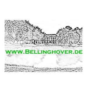 „Bellinghover Logo – Landschaft in Grau und Grün, regionaler Partner für Fruchtaufstriche.“