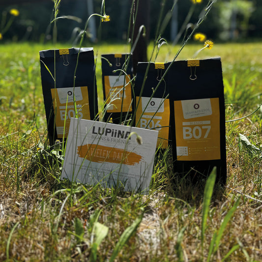 „Im hohen grünen Gras präsentieren wir die Kaffeeserie Balance – die Sorten Der Natürliche, Der Seelenschmeichler und Der Sonnige. Umgeben von gelben Blüten und einer Karte von Lupiina Beans and Friends mit der Aufschrift „Vielen Dank“, strahlt das Bild Harmonie und Wertschätzung aus.“
