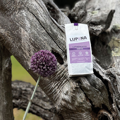 „Inmitten einer Umgebung mit alten Olivenbäumen und wahrscheinlich einem Allium Summer in passendem Lila-Ton präsentieren wir den Lupinenkaffee kräftig – eine harmonische Verbindung von Natur und Geschmack.“

